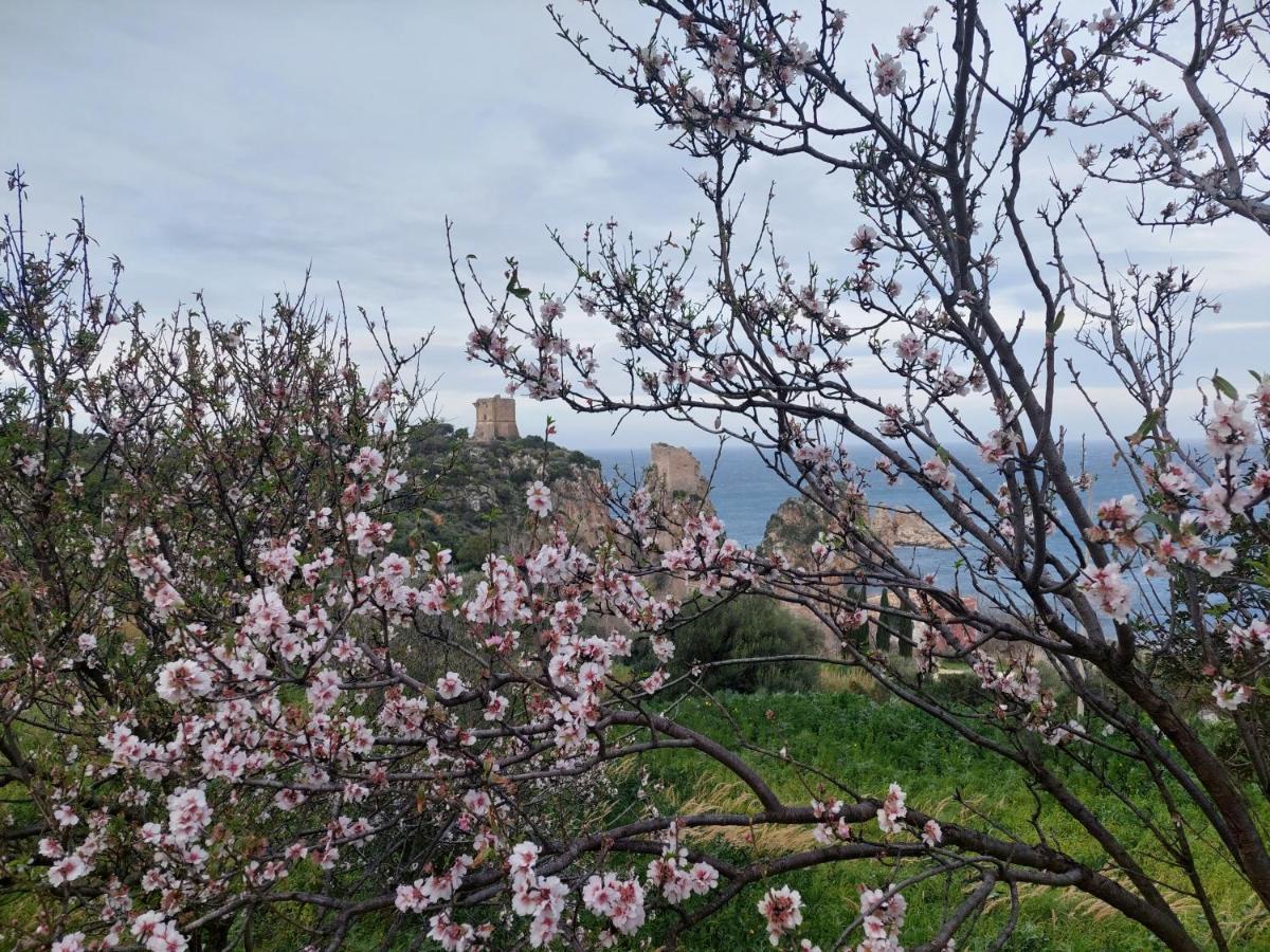 Piccola Baia Villa Scopello  Eksteriør bilde